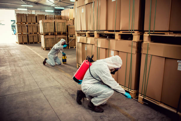 Trusted Peachtree City, GA Pest Control Experts