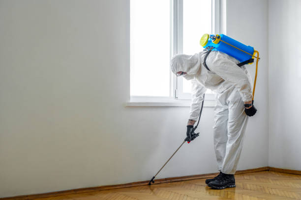 Flea Control Services in Peachtree City, GA