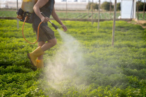 Best Commercial Pest Control Services  in Peachtree City, GA